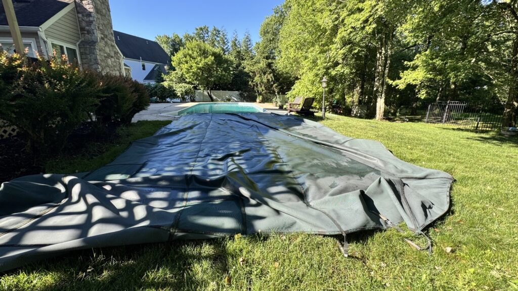 pool opening